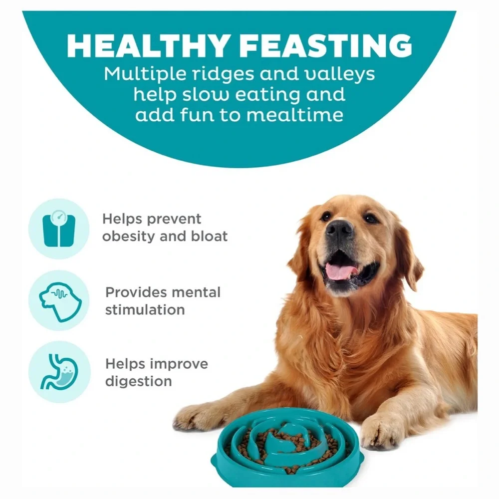 Teal Slow Feeder Dog Bowl
